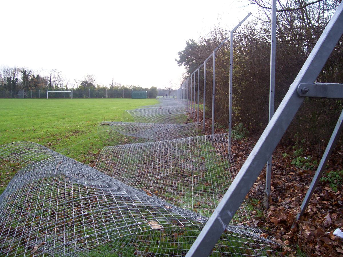 Starting to come down